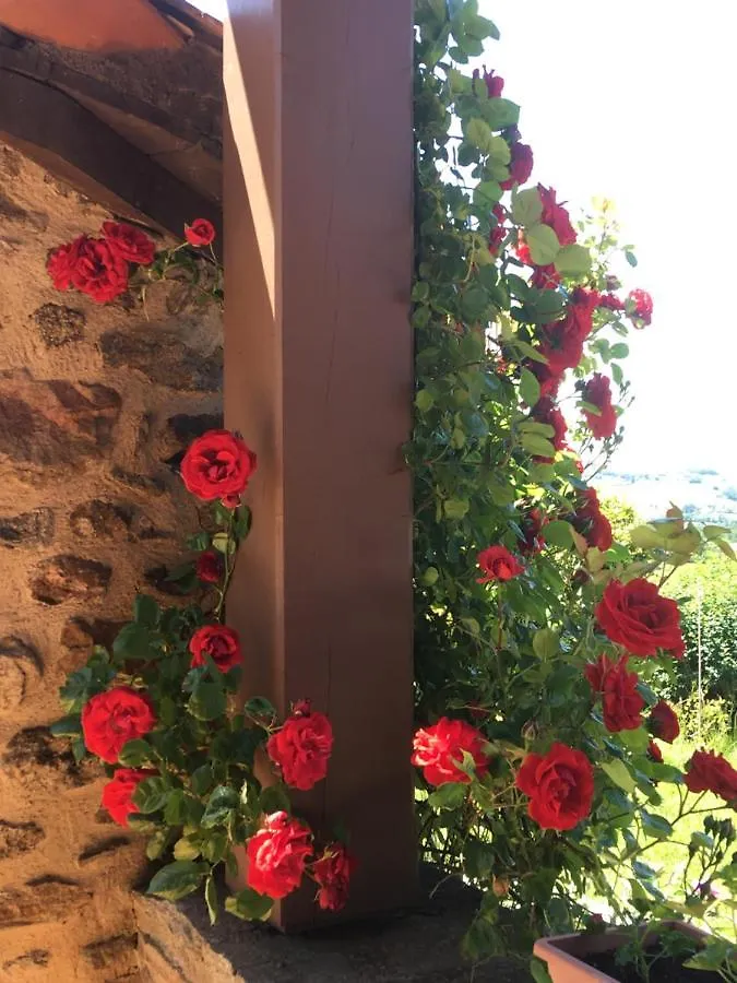 Bed & Breakfast Pierre De Lune Larajasse